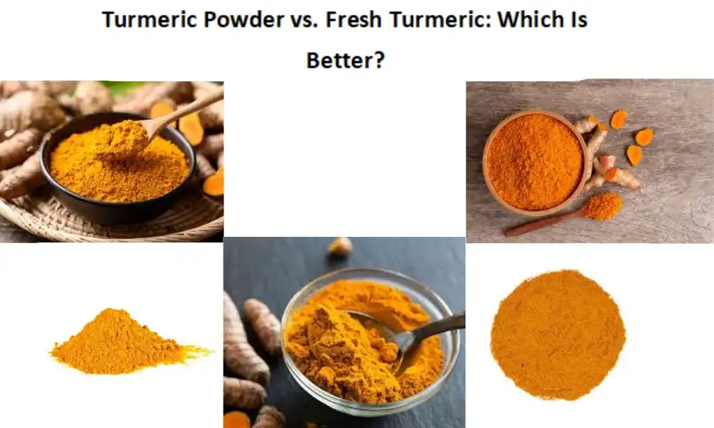 Turmeric Powder vs. Fresh Turmeric: Which Is Better?